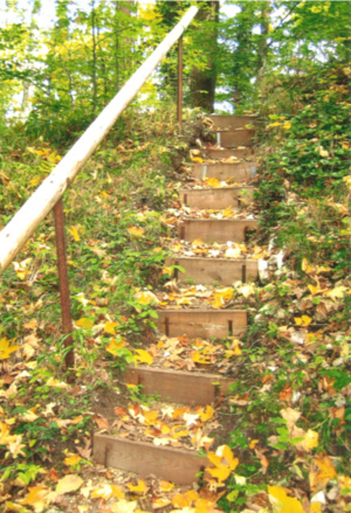 Treppenaufgang zum Schlössle