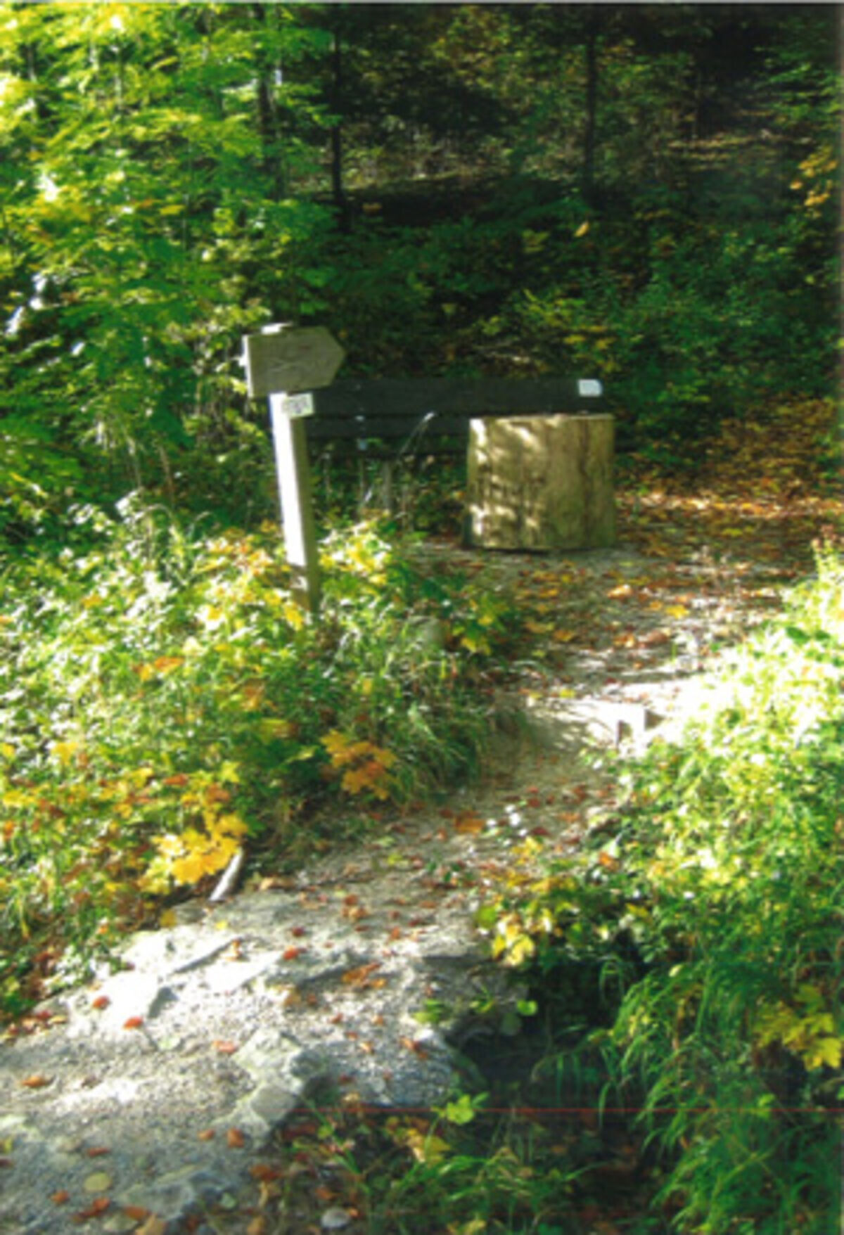 Historischer Burgweg zur Agnesburg